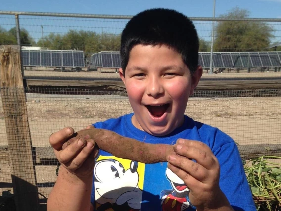 Boy with Sweet Potato