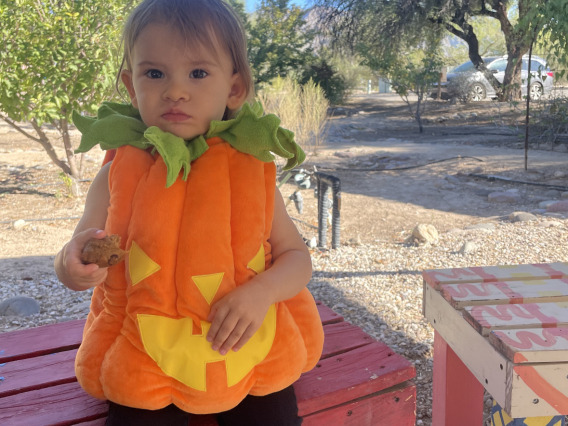 Kid in pumpkin costume