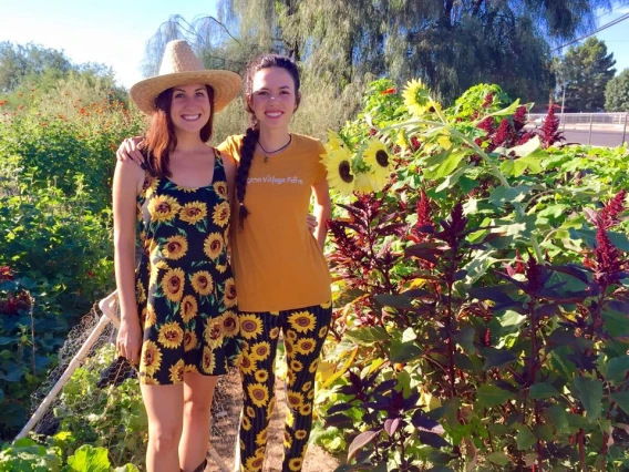 Sunflower girls
