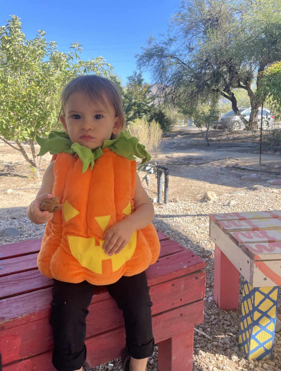 Kid in pumpkin costume