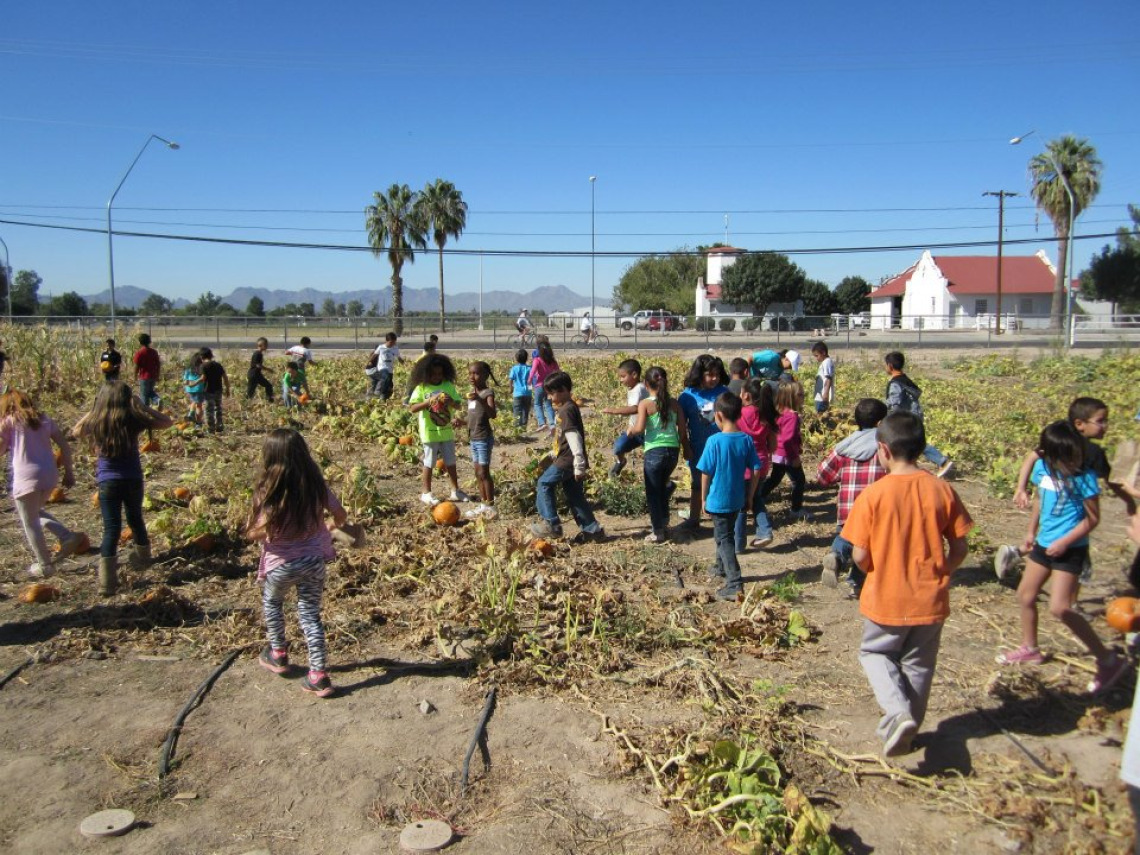 Kids working on farm