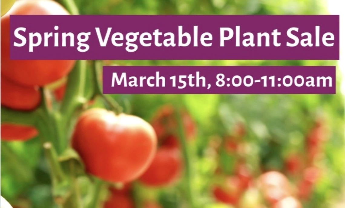 Spring Plant Sale