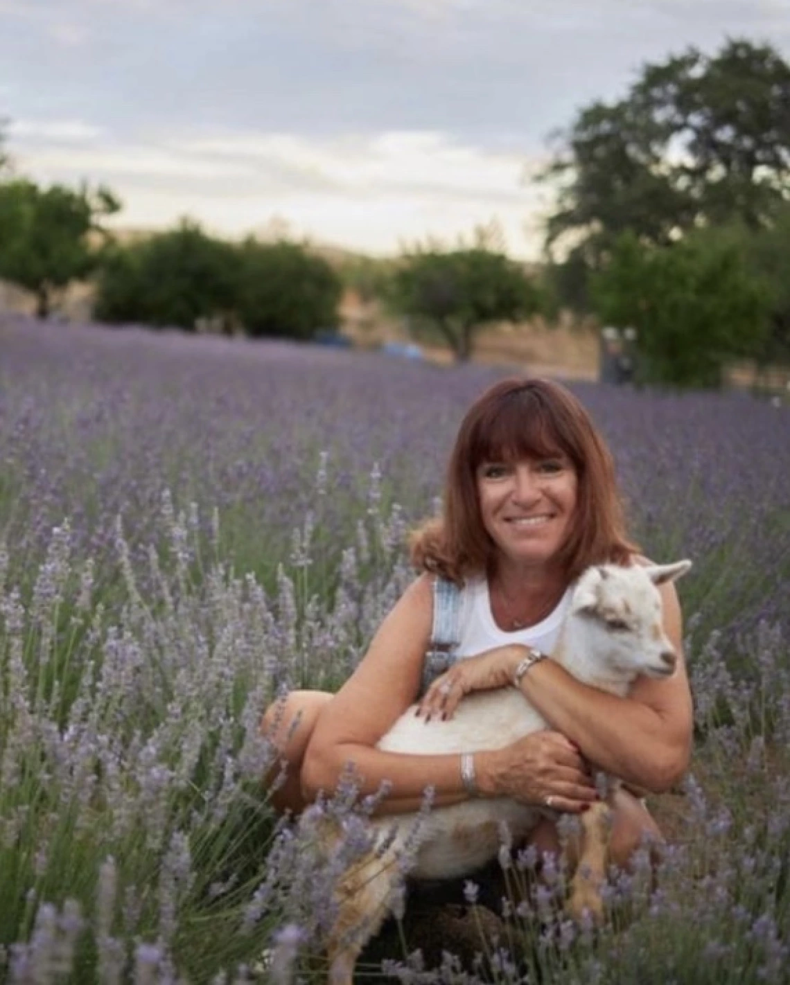 Lavender Festival