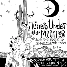 Tunes Under the Moon